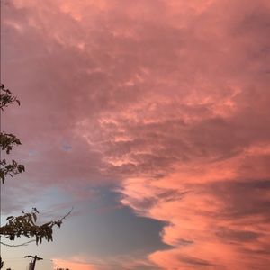 Meet your Posher, Isabella